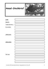 Amsel-Steckbrief-B-SW-1.pdf